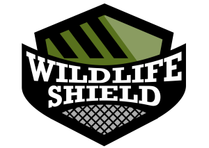 wildlife removal ajax